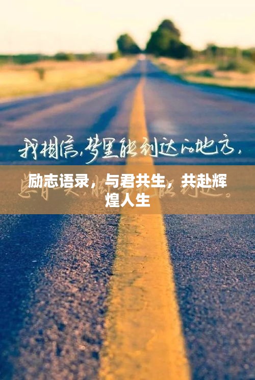 择善而从 第2页