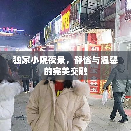 独家小院夜景，静谧与温馨的完美交融