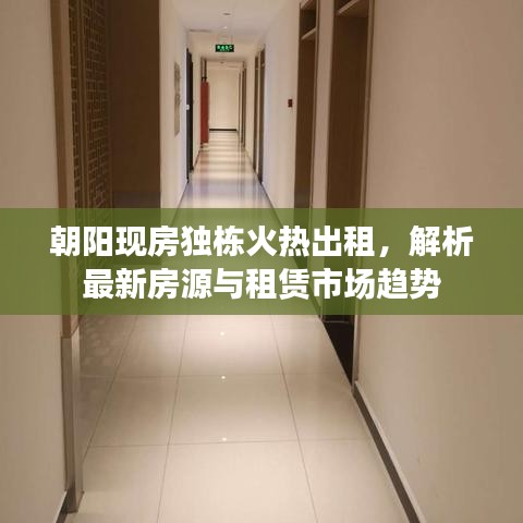 朝阳现房独栋火热出租，解析最新房源与租赁市场趋势