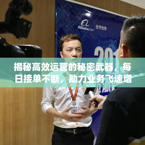 揭秘高效运营的秘密武器，每日接单不断，助力业务飞速增长！