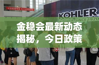 金稳会最新动态揭秘，今日政策动向与市场反应速览