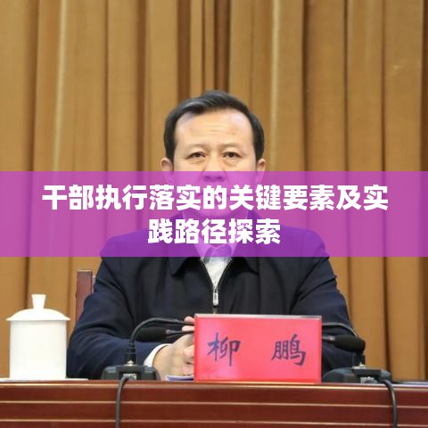 干部执行落实的关键要素及实践路径探索