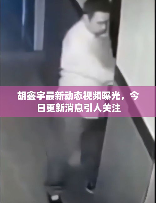 胡鑫宇最新动态视频曝光，今日更新消息引人关注