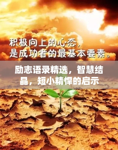 励志语录精选，智慧结晶，短小精悍的启示