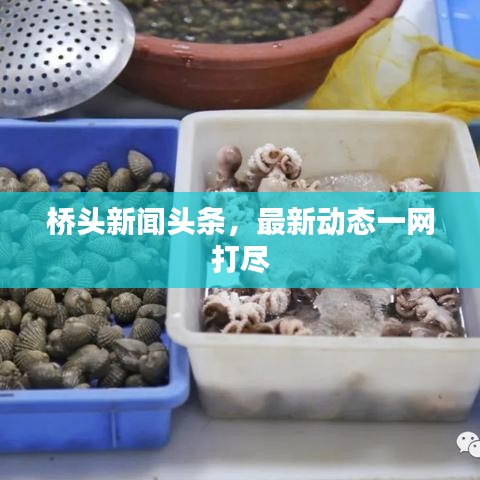 桥头新闻头条，最新动态一网打尽