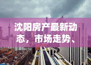 沈阳房产最新动态，市场走势、政策调控与热门楼盘一网打尽
