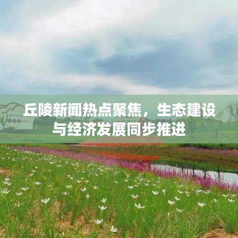 丘陵新闻热点聚焦，生态建设与经济发展同步推进