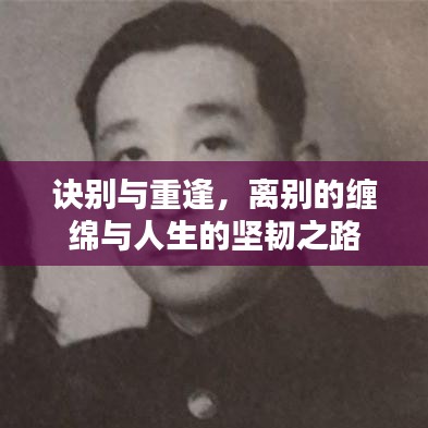 诀别与重逢，离别的缠绵与人生的坚韧之路