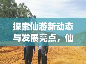 轻飞曼舞