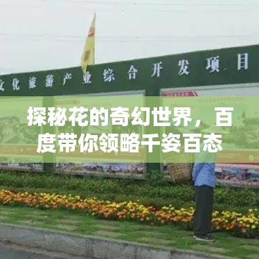 探秘花的奇幻世界，百度带你领略千姿百态的花卉图片