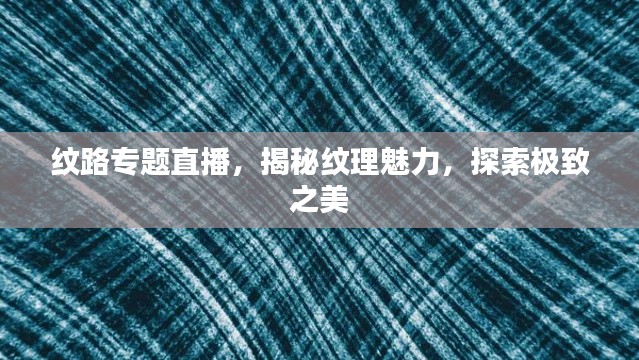 秀外慧中