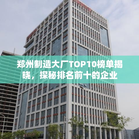 张张屈屈