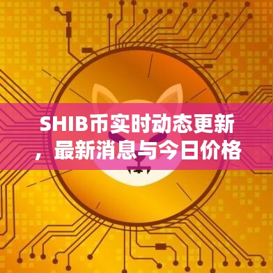 百不得一