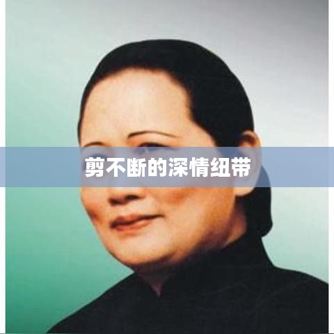 贵耳贱目