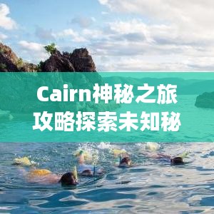 不飞则已