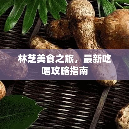 林芝美食之旅，最新吃喝攻略指南