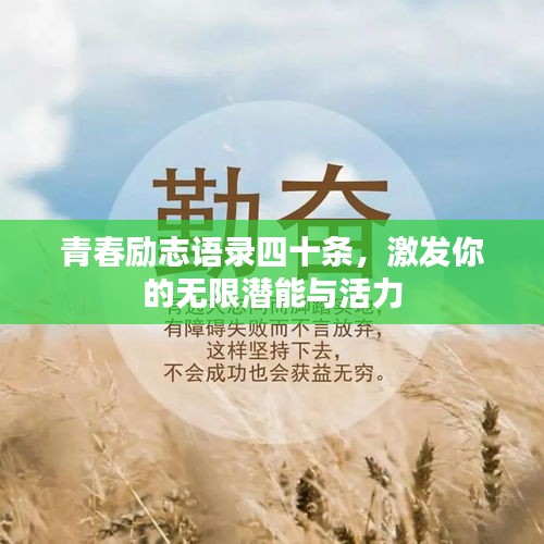 青春励志语录四十条，激发你的无限潜能与活力