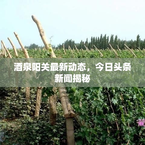 韦编三绝