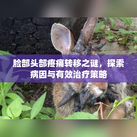草创未就