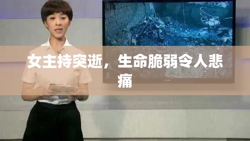 淡妆浓抹