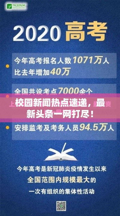 洵属可贵
