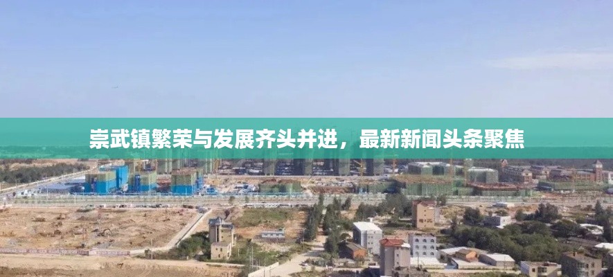 手不释卷