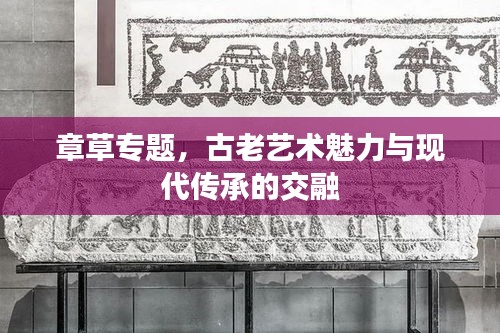 章草专题，古老艺术魅力与现代传承的交融