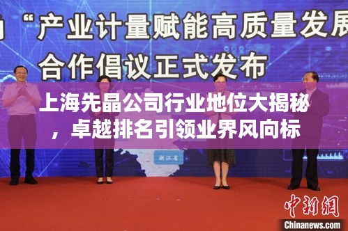 上海先晶公司行业地位大揭秘，卓越排名引领业界风向标