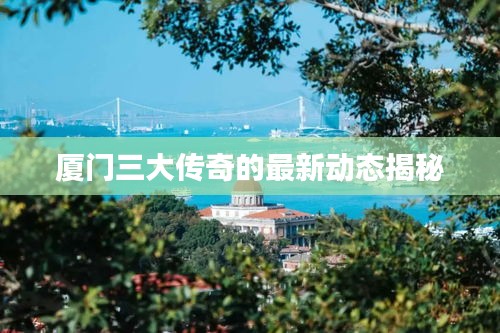 厦门三大传奇的最新动态揭秘