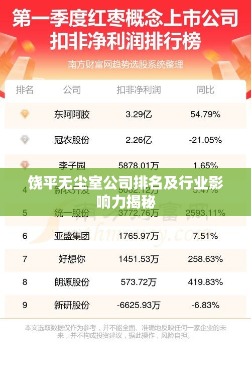 饶平无尘室公司排名及行业影响力揭秘