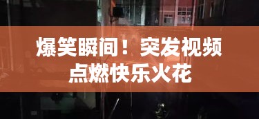 爆笑瞬间！突发视频点燃快乐火花