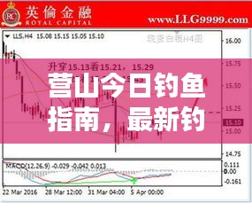 营山今日钓鱼指南，最新钓鱼指数全面解析
