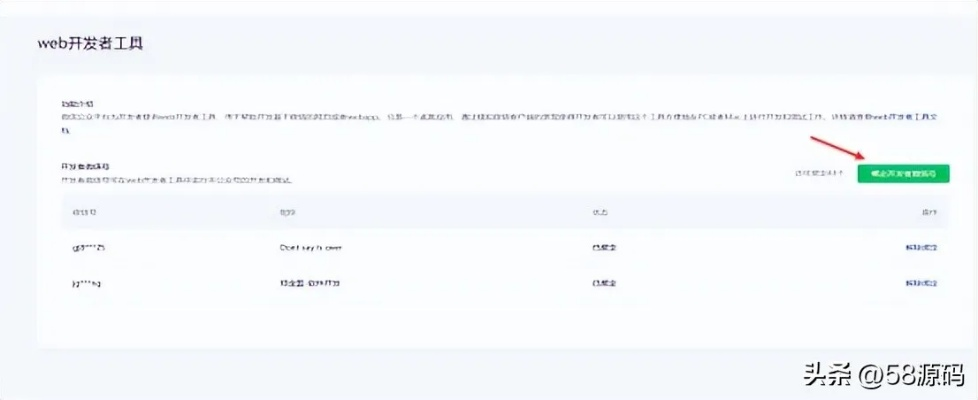 微信其他版本实地解析说明_Console_v5.219，专业级工具深度解读