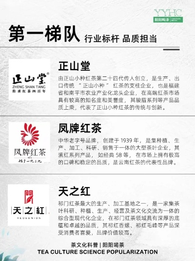 红莲爆炎与绿茶下载,行业标杆的系统化解析 MR_v1.466版