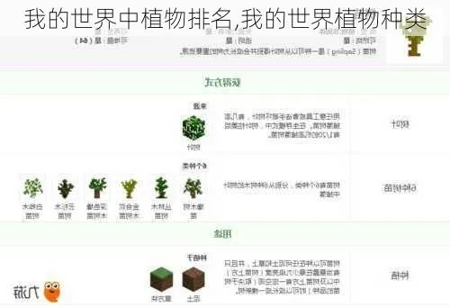 植物的世界单机版跟块猫官方下载,稳定性策略解析&DX版1_v8.545