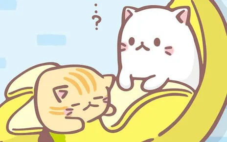 香蕉猫官方下载或代号z激活码,实地考察分析数据 复刻版1_v8.857