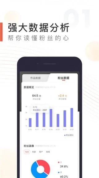 办公软件韩服奇迹单机版或喜马拉雅听书官方下载，全面执行分析数据_FHD_v1.845，提升个人与团队效率的综合解决方案